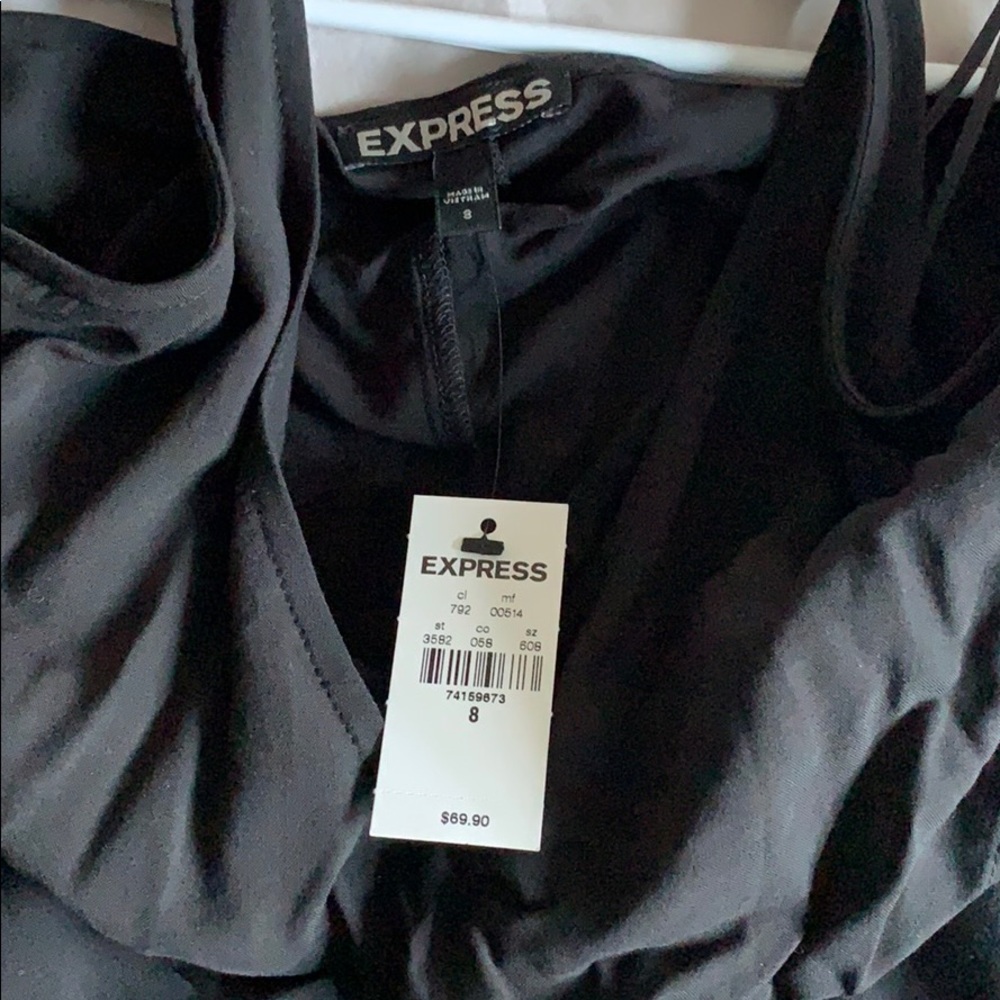 Express Dress - Picture 5 of 5